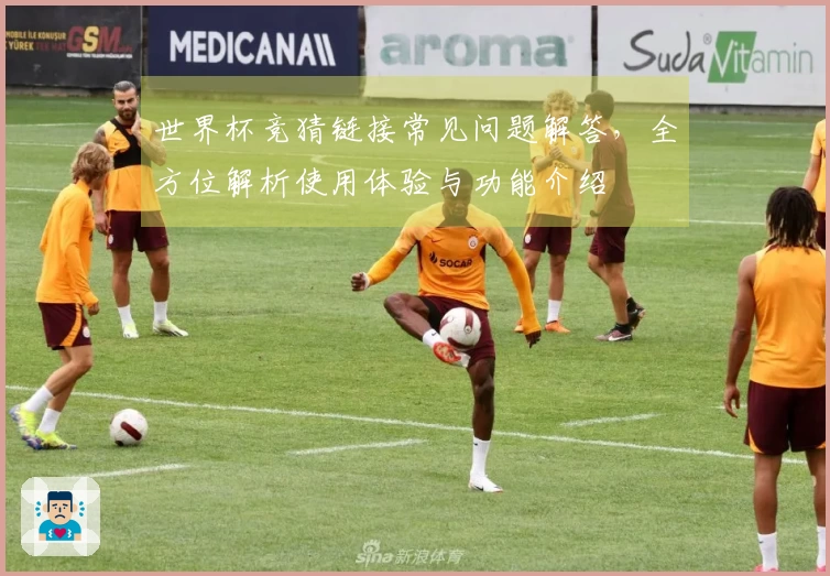 世界杯竞猜链接常见问题解答，全方位解析使用体验与功能介绍