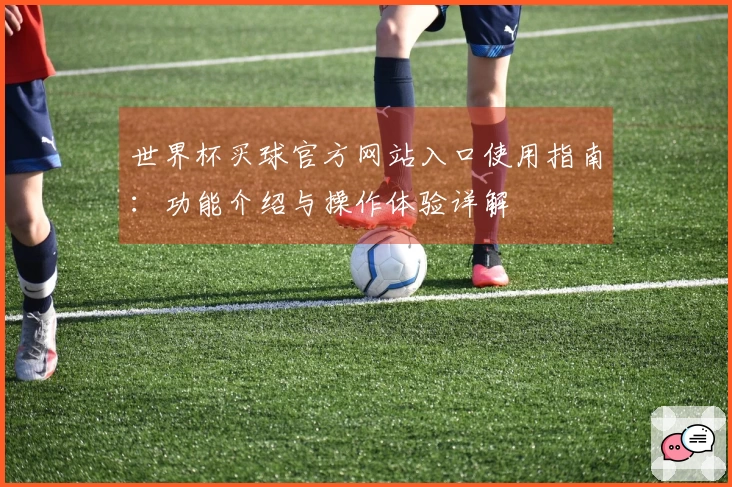 世界杯买球官方网站入口使用指南：功能介绍与操作体验详解