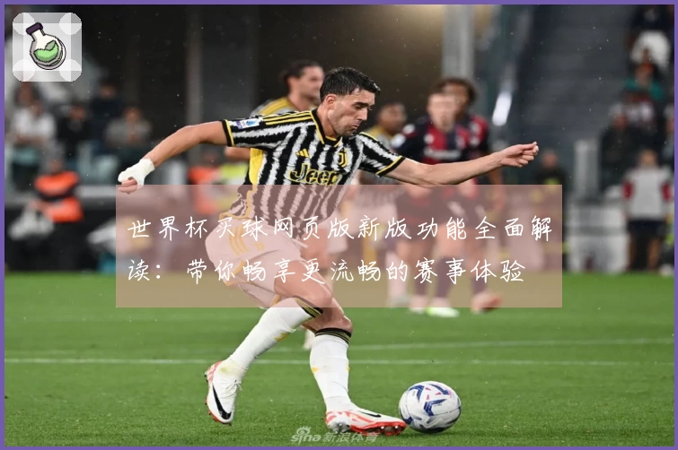 世界杯买球网页版新版功能全面解读：带你畅享更流畅的赛事体验
